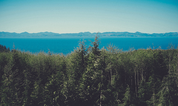 免费ddos压力测试平台